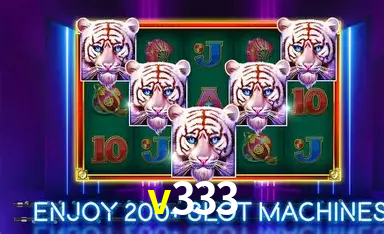 v333 bet